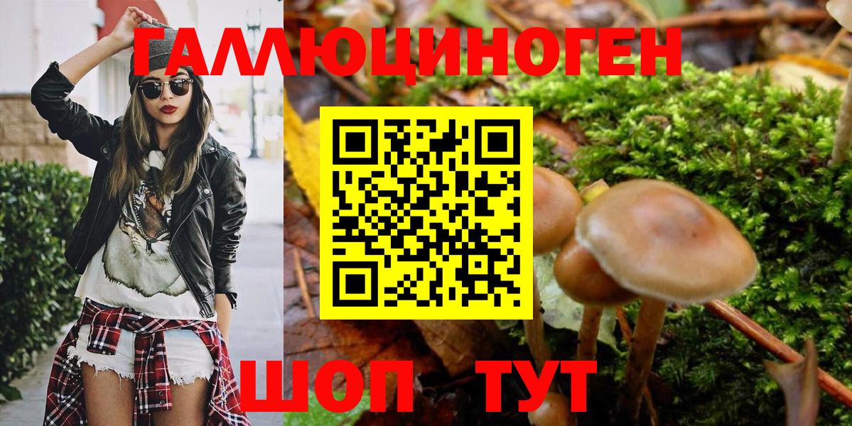 Галлюциногенные грибы GOLDEN TEACHER  Галлюциногенные грибы Psilocybine cubensis  Вход с VPN  Гусь-Хрустальный 