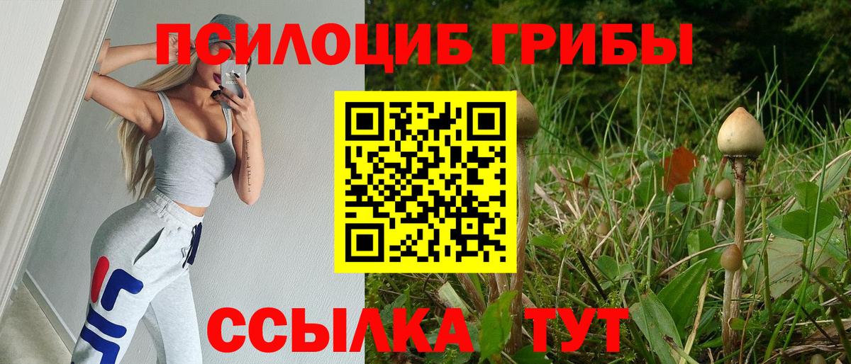 Псилоцибиновые грибы Psilocybe Гусь-Хрустальный
